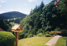 BlickTerasse oben