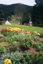 BlickTerasse